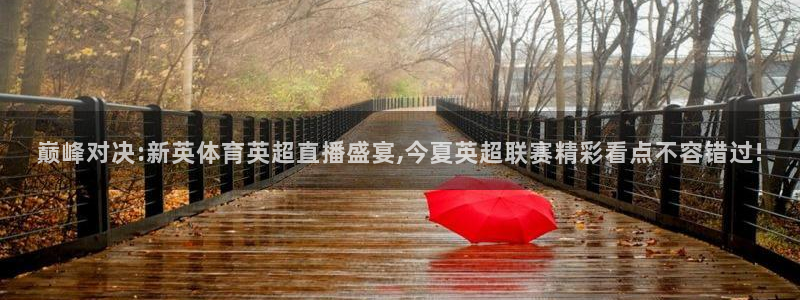 蜘蛛直播nba免费：巅峰对决:新英体育英超直播盛宴,今夏英超联赛精彩看点不容错过!