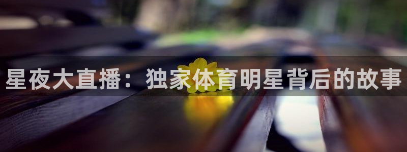 蜘蛛直播nba在线观看：星夜大直播：独家体育明星背后的故事