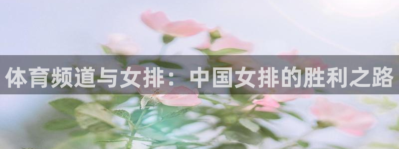 蜘蛛nba直播免费观看：体育频道与女排：中国女排的胜利之路