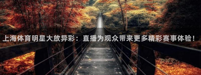 蜘蛛直播体育nba直播在线：上海体育明星大放异彩：直播为观众带来更多精彩赛事体验！
