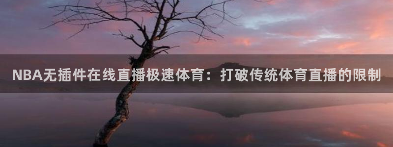 jrs蜘蛛直播nba免费：NBA无插件在线直播极速体育：打破传统体育直播的限制
