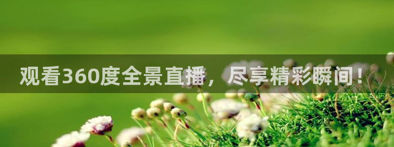 蜘蛛直播nba在线观看：观看360度全景直播，尽享精彩瞬间！