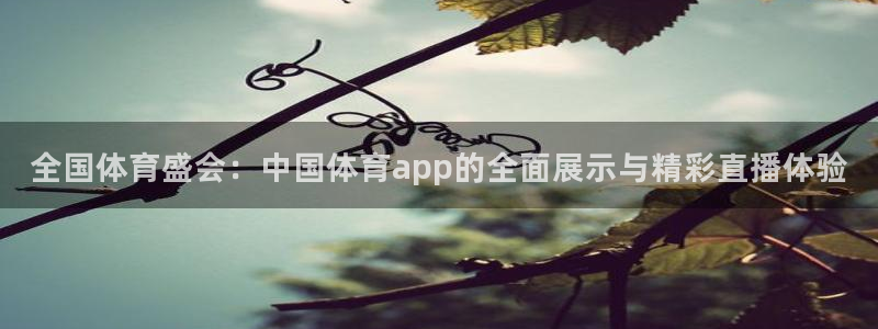 蜘蛛nba免费直播在线直播：全国体育盛会：中国体育app的全面展示与精彩直播体验