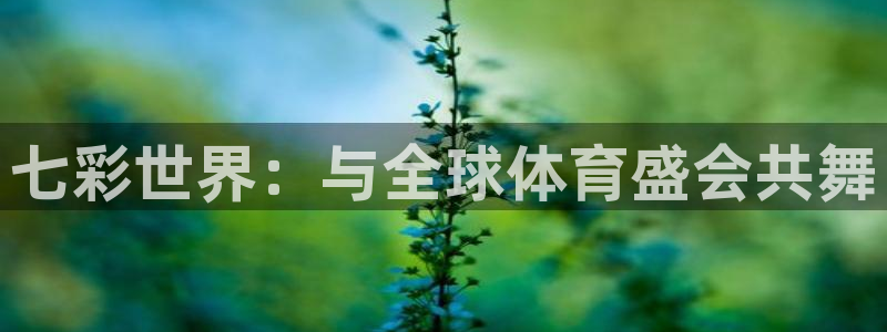 蜘蛛直播体育：七彩世界：与全球体育盛会共舞